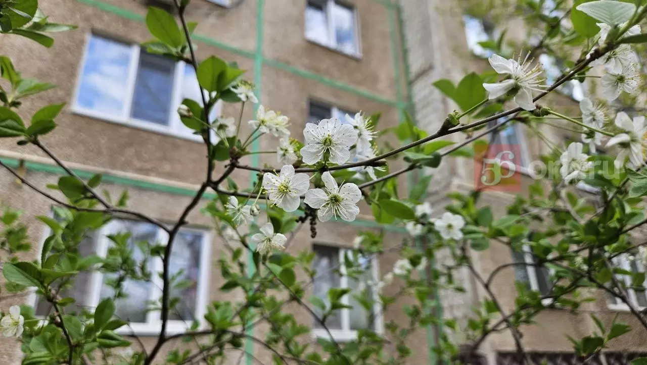 Весна в Оренбурге 