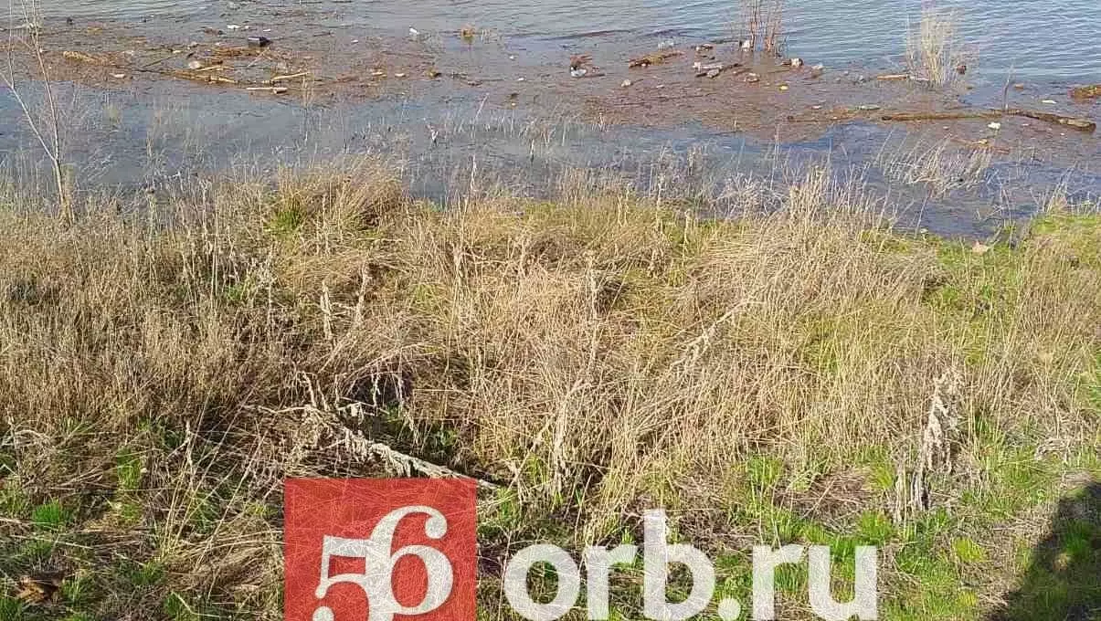 Уровень реки Сакмара у села Татарская Каргала вырос до 878 сантиметров