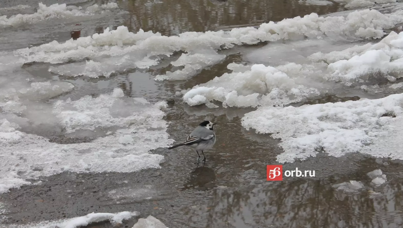 В Оренбуржье ожидается первый снег