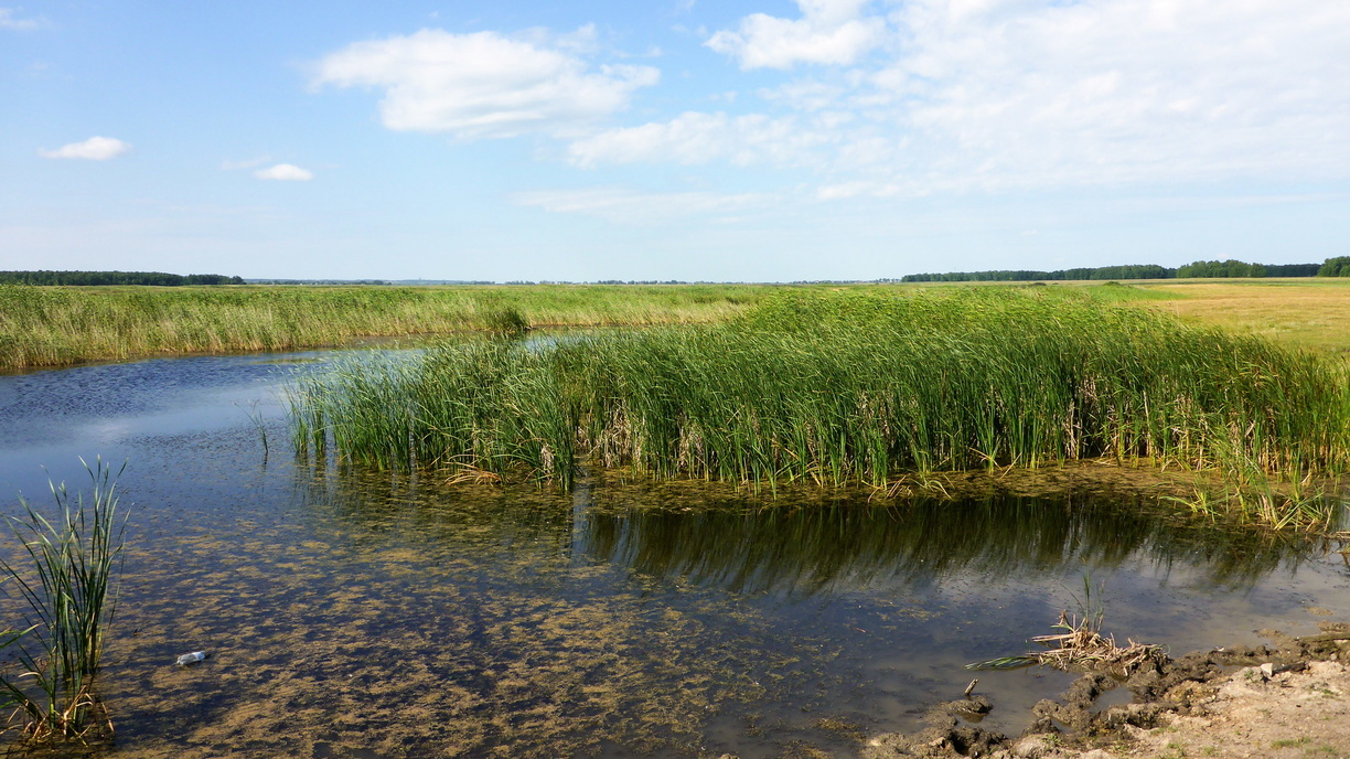 Роспотребнадзор исследовал состояние рек и озер в Оренбургской области