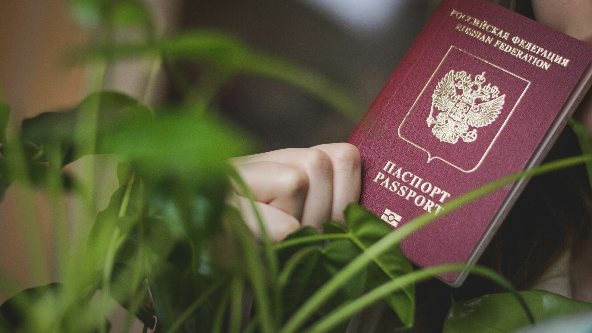 Девушка решила пересечь границу по чужому паспорту
