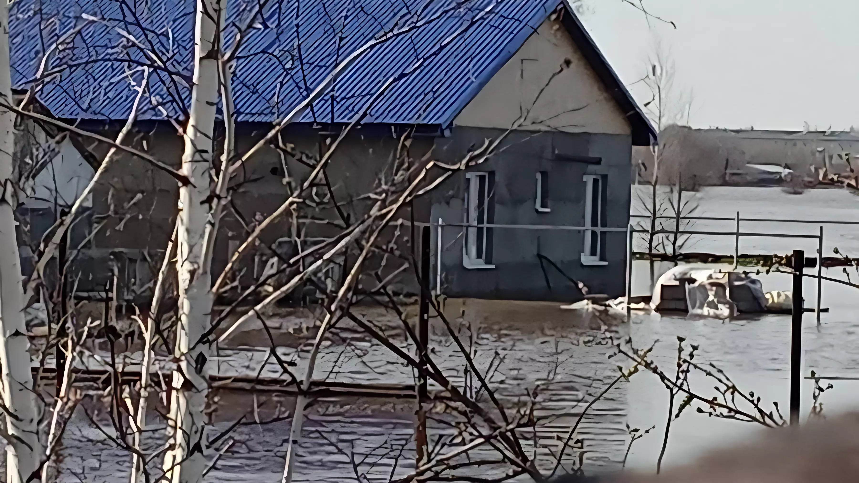 В Оренбурге вода зашла в дома в СНТ у поселка Кушкуль