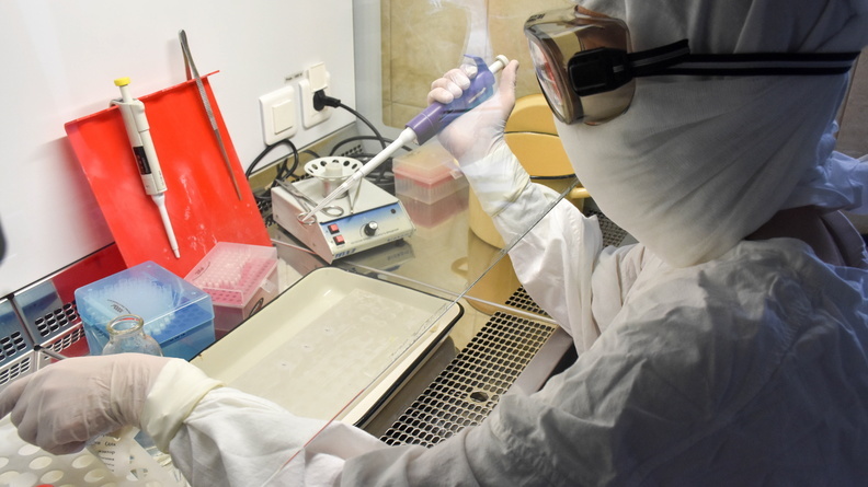 В оренбургских лабораториях за сутки проводится 1900 тестов на коронавирус