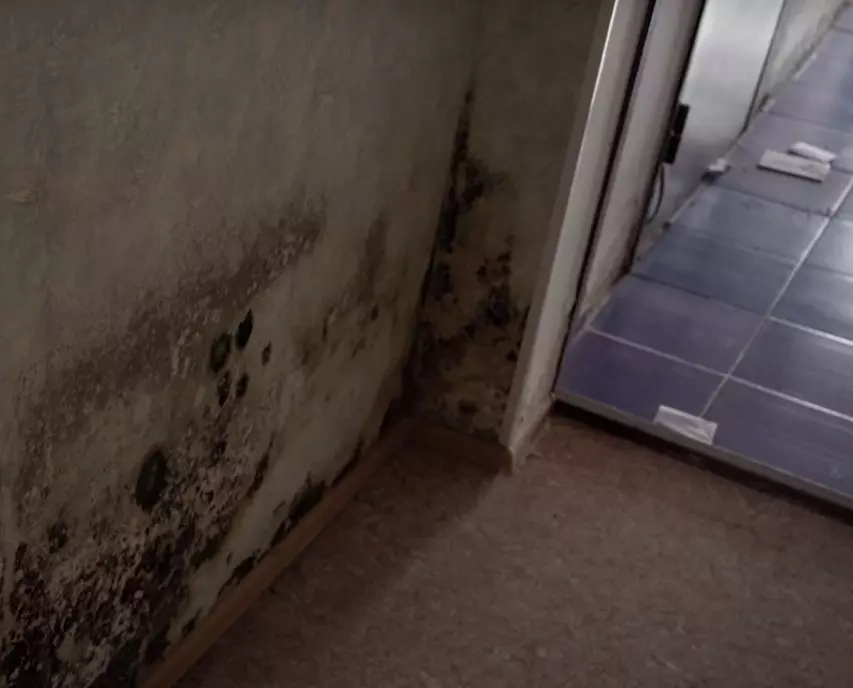 Скриншоты из видео, где видны ужасные условия, которые были предложены для жизни людям.